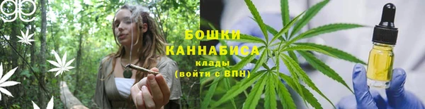 сатива Балабаново