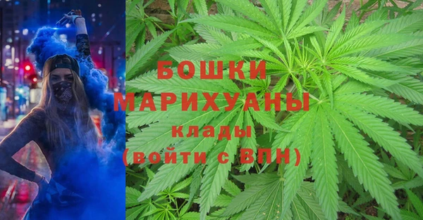 PSILOCYBIN Баксан