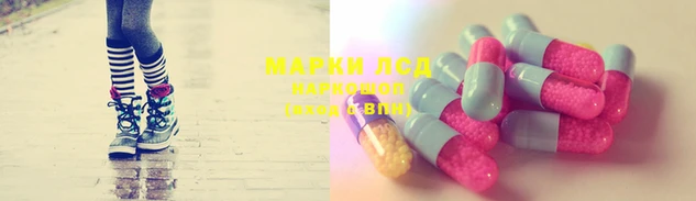 PSILOCYBIN Баксан
