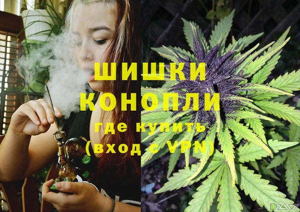 PSILOCYBIN Баксан