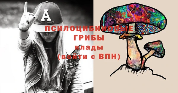 PSILOCYBIN Баксан
