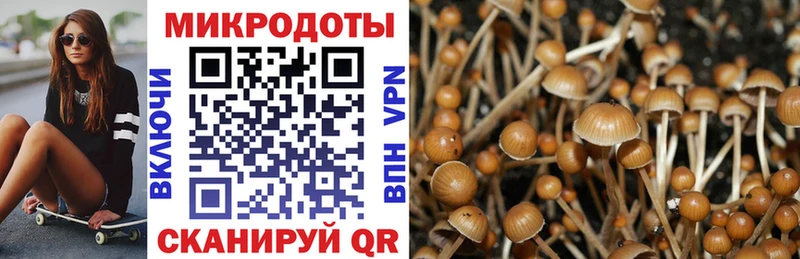 Галлюциногенные грибы Psilocybe  сколько стоит  Кохма 